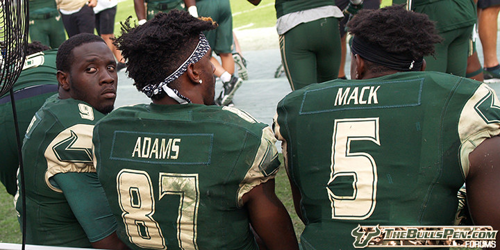 72-5x10-3-best-bulls-all-time-flowers-adams-mack-usf-2016-old-baldy-photo-P1017569.jpg